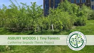 Asbury Woods | Tiny Forests, Student Thesis Project