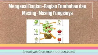 Komunikasi Pedagogik & Edutainmen Annadiyah Chasanah 19010044086