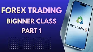 forex trading beginner basic course part 1