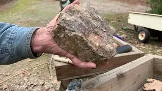 Falcon MD20 finds specimens