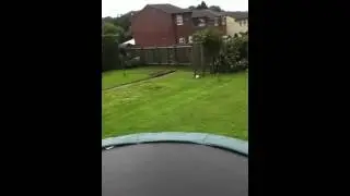 The Adventures of Sam and Luke penguin 2
