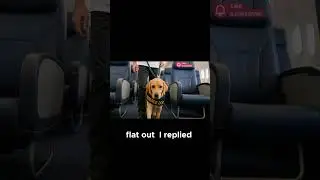 Illegal HOA Actions Against Service Animals