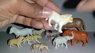Animal Toys | So Satisfying #unboxing #wildlife #animaltoys #toys