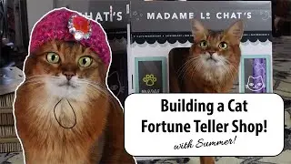 Cat Building Her Own Magic Shop! Summer&rsquo;s New Fortune Telling Business