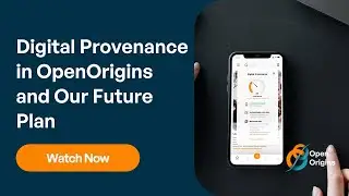 Digital Provenance in OpenOrigins and Our Future Plan