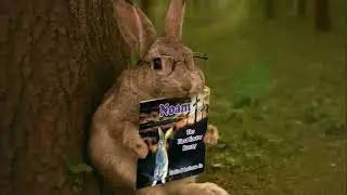 Noam Easter Bunny Story