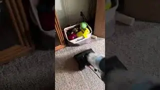Bissell Powerforce Compact living room vacuuming 