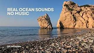 20 Minutes Ocean Waves | Natural Sea Sounds for Relaxation, Study & Meditation