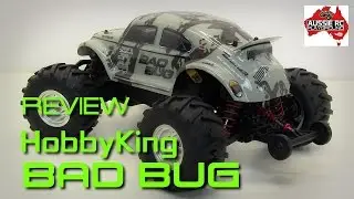 Review: Hobbyking Basher Bad Bug Mini MT
