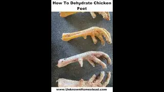 How To Dehydrate Chicken Feet