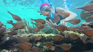 Over and Around the Paamul Reef