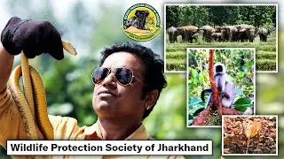 Watch Wildlife of Jharkhand in Dense  with Wildlife protection Society of Jharkhand