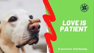 Love Is Patient