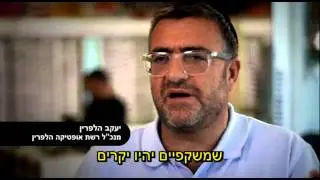 משקפיים - מוצר צריכה בסיסי באופטיקה הלפרין
