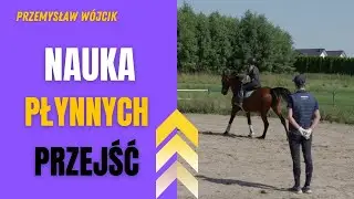 Przejścia stęp – kłus – galop: trening konia krok po kroku