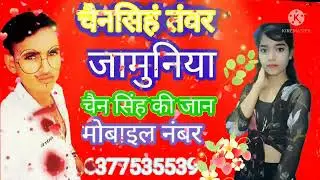 चैन सिहं तंवर 6377535539