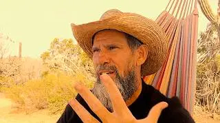 Life-Changing Wisdom in 5 Minutes&mdash;A former Millionaire Reveals the Truth.