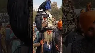 mahakaal ji.#hollamahalla #budhadal#dalpanth#96croori#trending#newvideo#sikh#ytshorts#india#vlog
