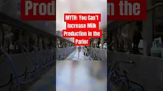 Fixing Parlor Bottlenecks: Milking 200 More Cows with CMC