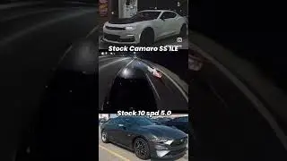 Camaro SS 1le 🆚 stock motor Mustang 5.0 #mustang #camaro #1le #sportscar #10speedcamaro
