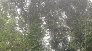 Now weather situation near Dambulla