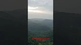 KUKURU KHAMLA MORNING