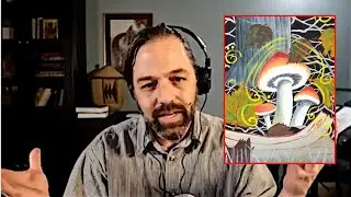 Jonathan Pageau Shares His Thoughts on Psychedelics