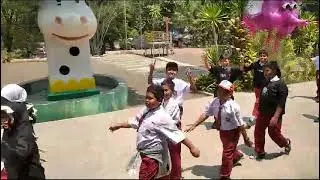 Plaplay zoo
