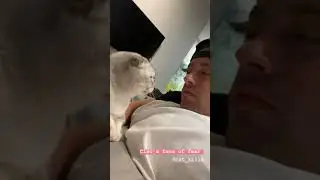 My cat loves licking me, but can&rsquo;t stand when I do it back