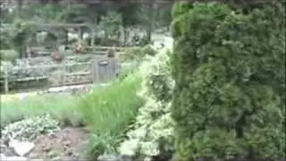 The Stewarts Garden