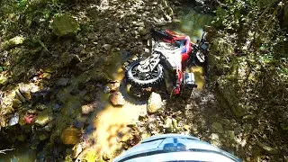 Fourche Mountain Trails Arkansas - 10-2021 On Honda CRF250F & CRF300L