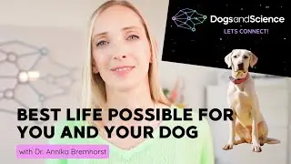 Dogs and Science: Discover the World of Canine Science With Us