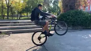 GT Avalanche elite 2018