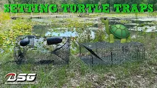 Setting Snapping Turtle Traps!!! 🐢 **Quarles Turtle Trap & Tomahawk 410** #TRAPPING #VLOG