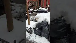ny nieve 2022(4)