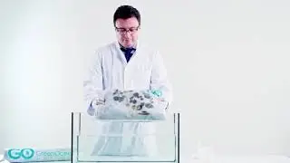 Green Ocean Innovative Absorbents