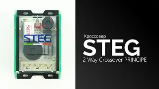 Распаковка кроссовера STEG 2 Way Crossover PRINCIPE