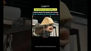 A Robotic Mouth That Speaks Like a Human 😳