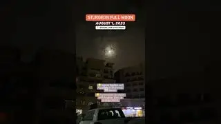August 1, 2023: Full Sturgeon Moon or Supermoon🌕 #supermoon #sturgeon #moon