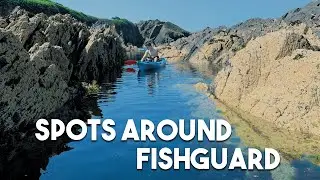 Small Trip Around Fishguard | Beautiful Spots and Sightings