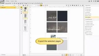 webPDF - How to create an image export from a PDF