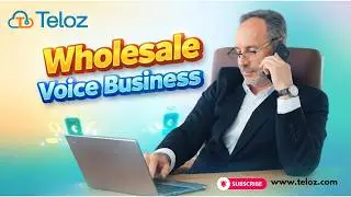 Wholesale Voice Business: Unlocking the Power of Wholesale Voice Business with Teloz