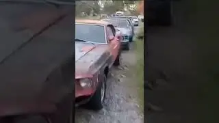Plymouth Barracuda 1965 года, Ford Mustang Mach1 1969 года, Ford Mustang Fastback 1970 года и мно...