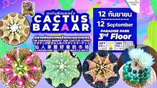Tour Cactus Fair : 🌵✨Cactus Bazaar at Paradise Park srinakarindra🎊Beautiful Cactus for sale