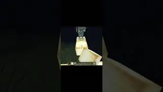 minecraft wolf logic #minecraft #shorts #viral