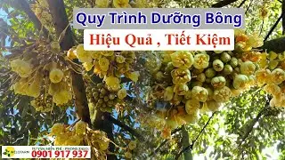 Effective and Economical Durian Flower Care Process