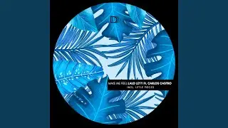 Make Me Feel feat. Carlos Castro