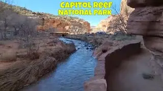 Fruita in Capitol Reef National Park in Utah