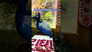 finally reviling the hand made peacock 🦚#shorts #shortvideo #peacock #janmashtami #art #diy #craft