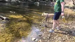 Creek exploration!